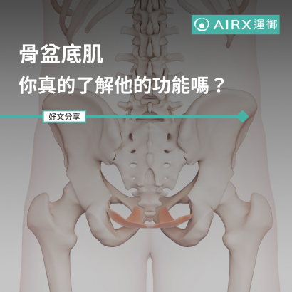 骨盆底肌封面1.png